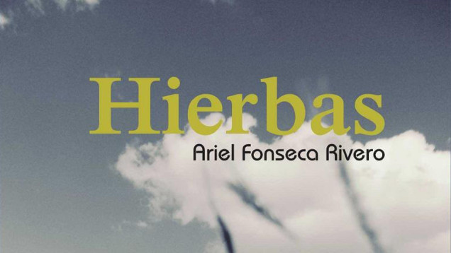 hierbas-ariel-fonseca